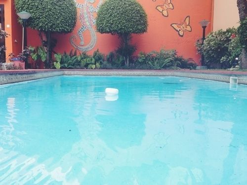 Moringa Guest House Μαπούτο Εξωτερικό φωτογραφία